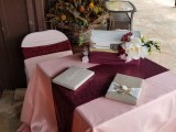 Middleton Place Party and Wedding Venue